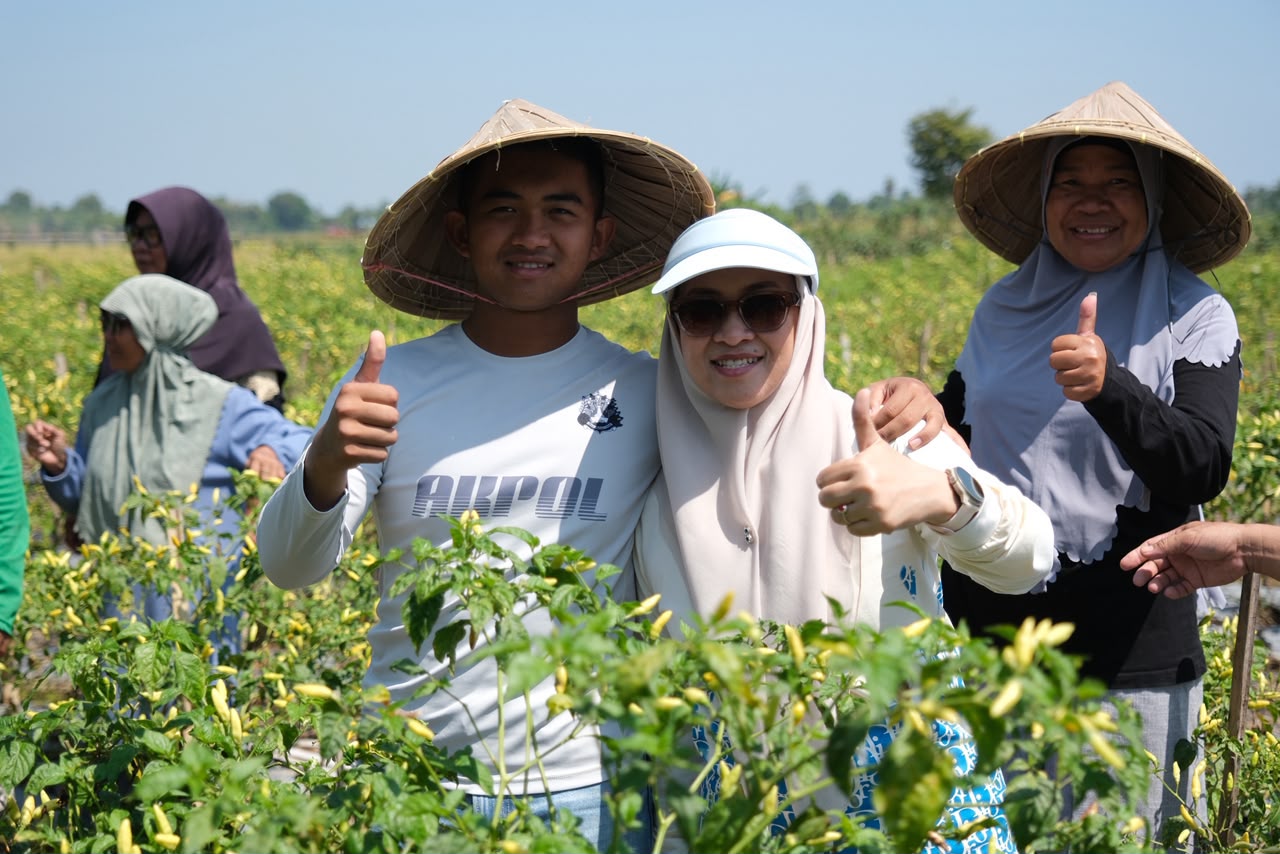 Di Tengah Riuh Politik, Husniah Pilih Turun ke Sawah dan Panen Bersama Warga Bontonompo