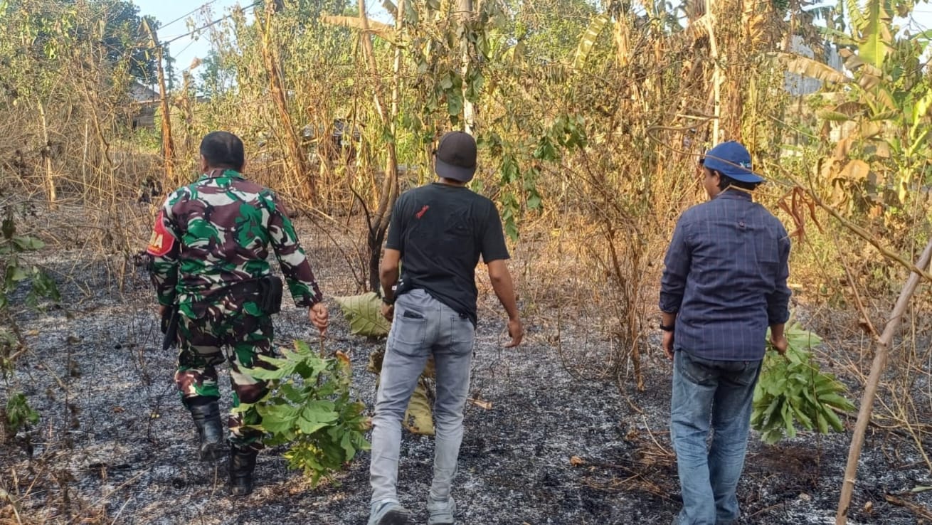 Gerak Cepat Aparat dan Warga Hentikan Kebakaran Lahan di Pattallassang