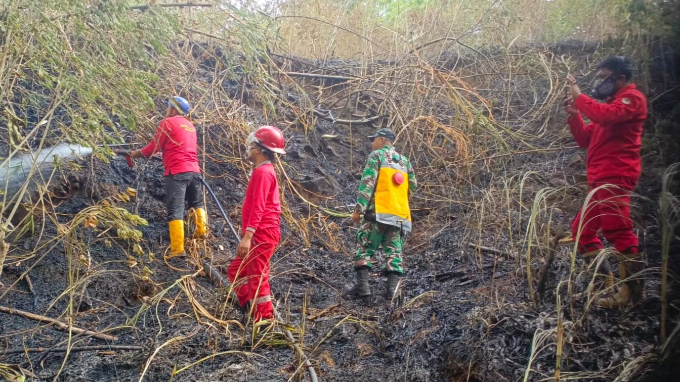 65 Personel Gabungan dan Warga Bahu-Membahu Padamkan Kebakaran 5 Hektare di Manuju