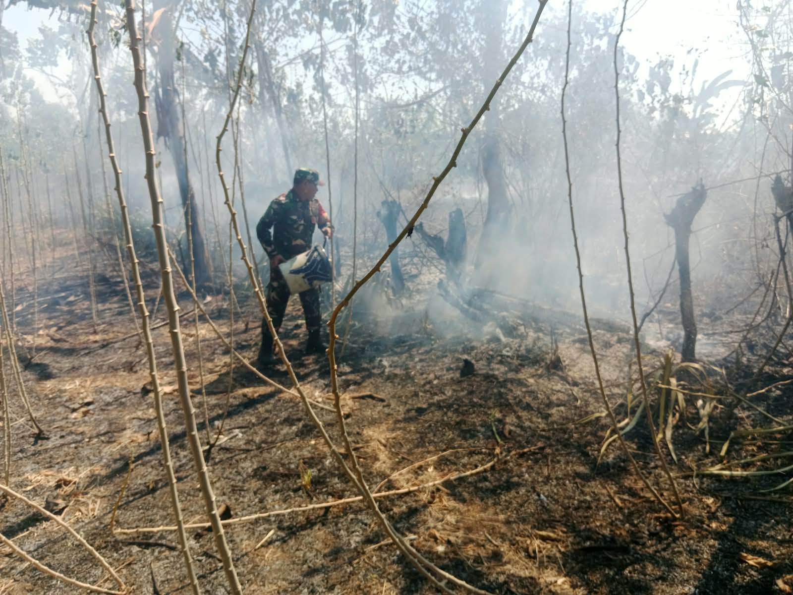 TNI-Polri dan Warga Bergerak Cepat, Karhutla di Dua Kecamatan Gowa Berhasil Dipadamkan
