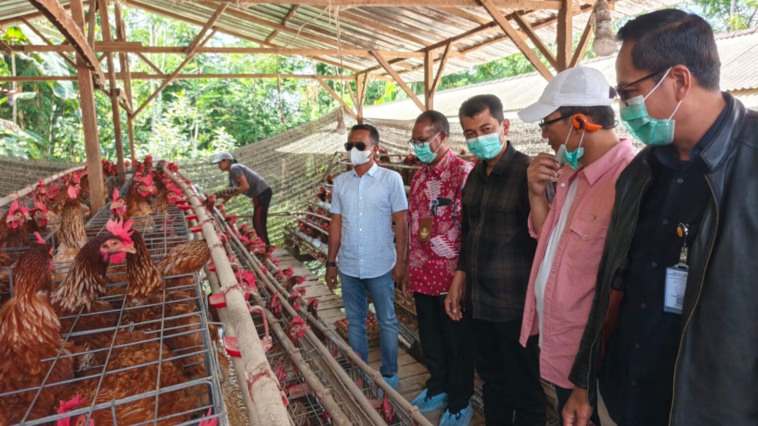 Bone Bidik Swasembada Telur, Bupati Andi Asman Belajar Model Peternakan Terintegrasi di Bali