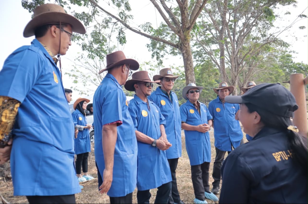 Belajar dari Bali, Bupati Bone Siapkan Lompatan Peternakan: Tak Lagi Jual Sapi Hidup, Bidik Hilirisasi dan Teknologi