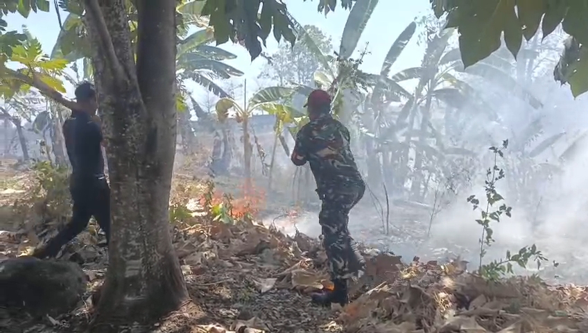 Api Lahap 5 Hektare Kebun Warga di Pattallassang, Babinsa dan Damkar Cegah Kobaran Merambat ke Permukiman